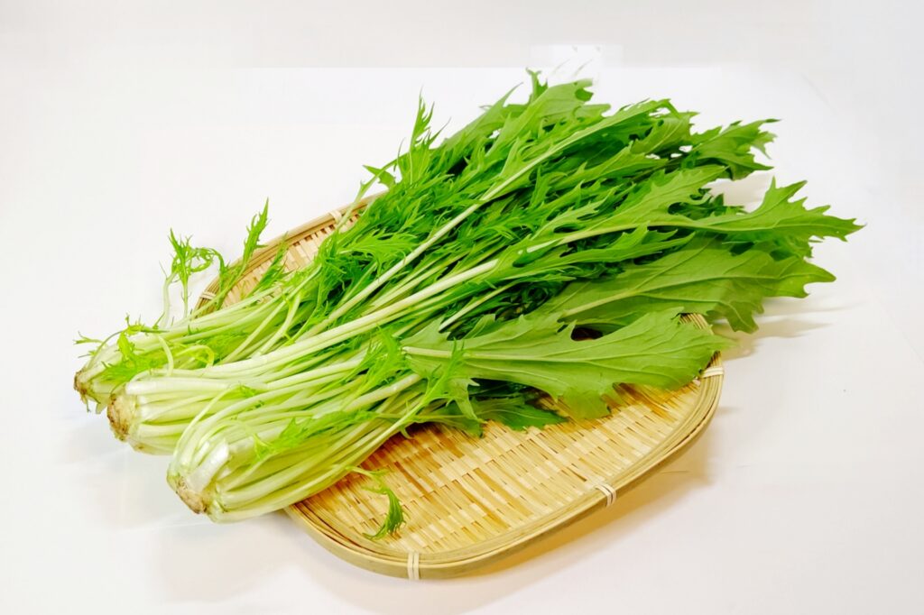水菜